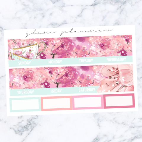 February 2021 NO FOIL EC Monthly Spread