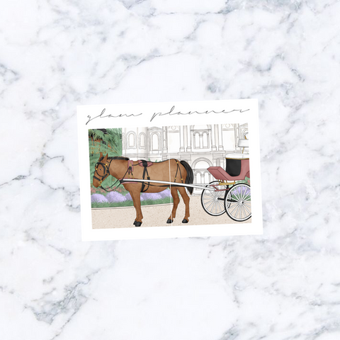New Orleans Horse Scene